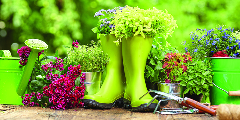 West Pennard Gardening Club - Street Glastonbury