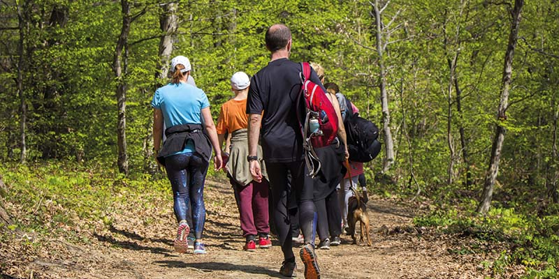 West Mendip Walkers