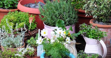 container gardening